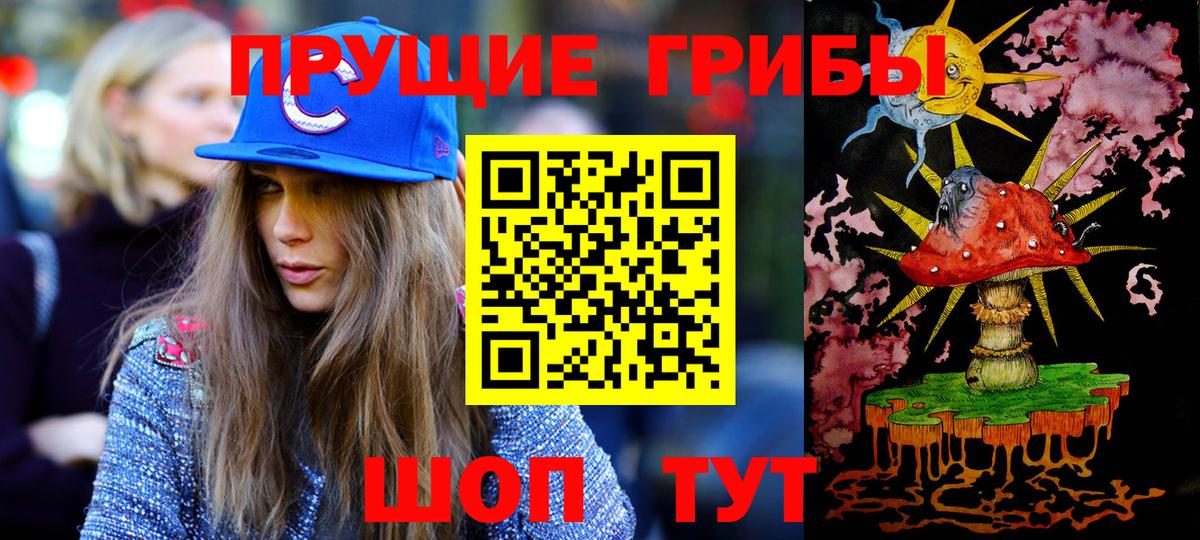 Галлюциногенные грибы Psilocybe Калининград